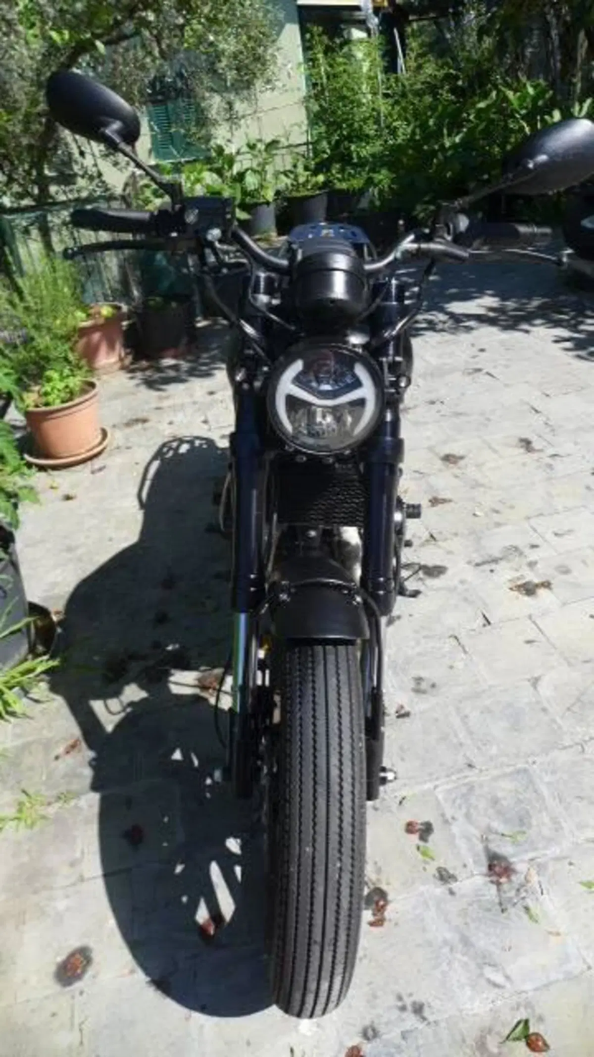 Archive Motorcycle AM 70 250 Cafe Racer (2022 - 24) (2)