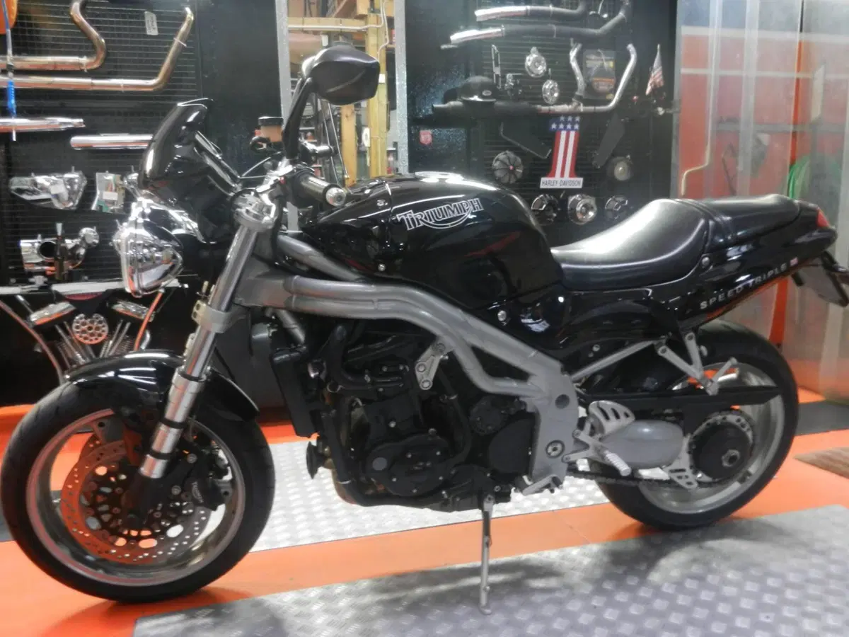 Triumph Speed Triple 955 (1998 - 01) (3)