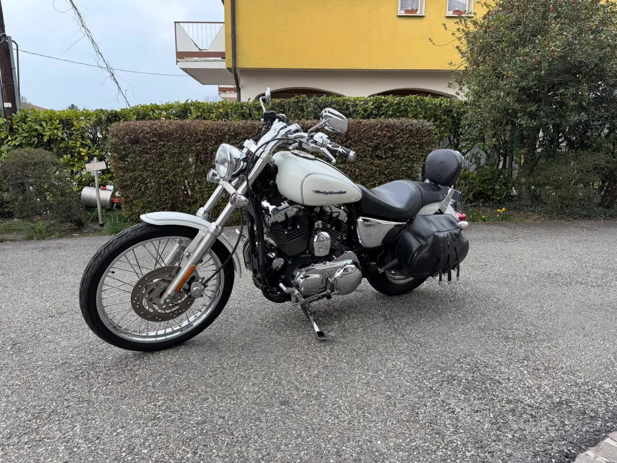 Harley-Davidson 1200 Custom (2004 - 06) - XL 1200C