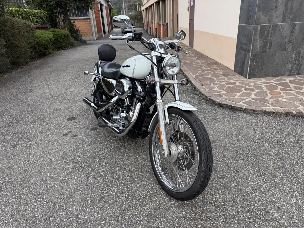 Harley-Davidson 1200 Custom (2004 - 06) - XL 1200C (2)