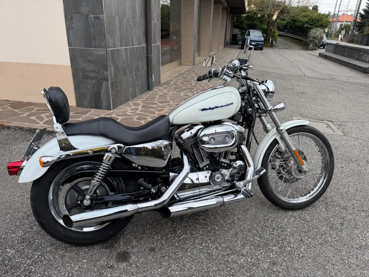 Harley-Davidson 1200 Custom (2004 - 06) - XL 1200C (3)
