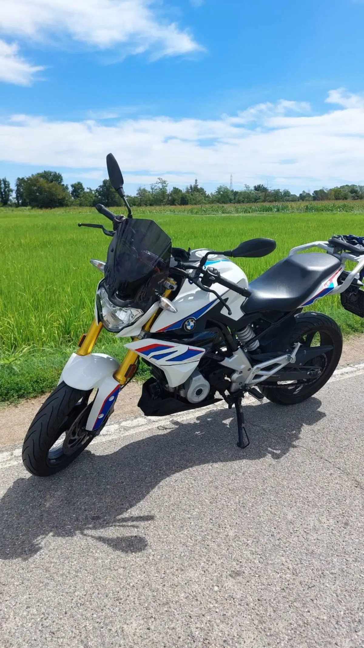 Bmw G 310 R (2016 - 20) (2)