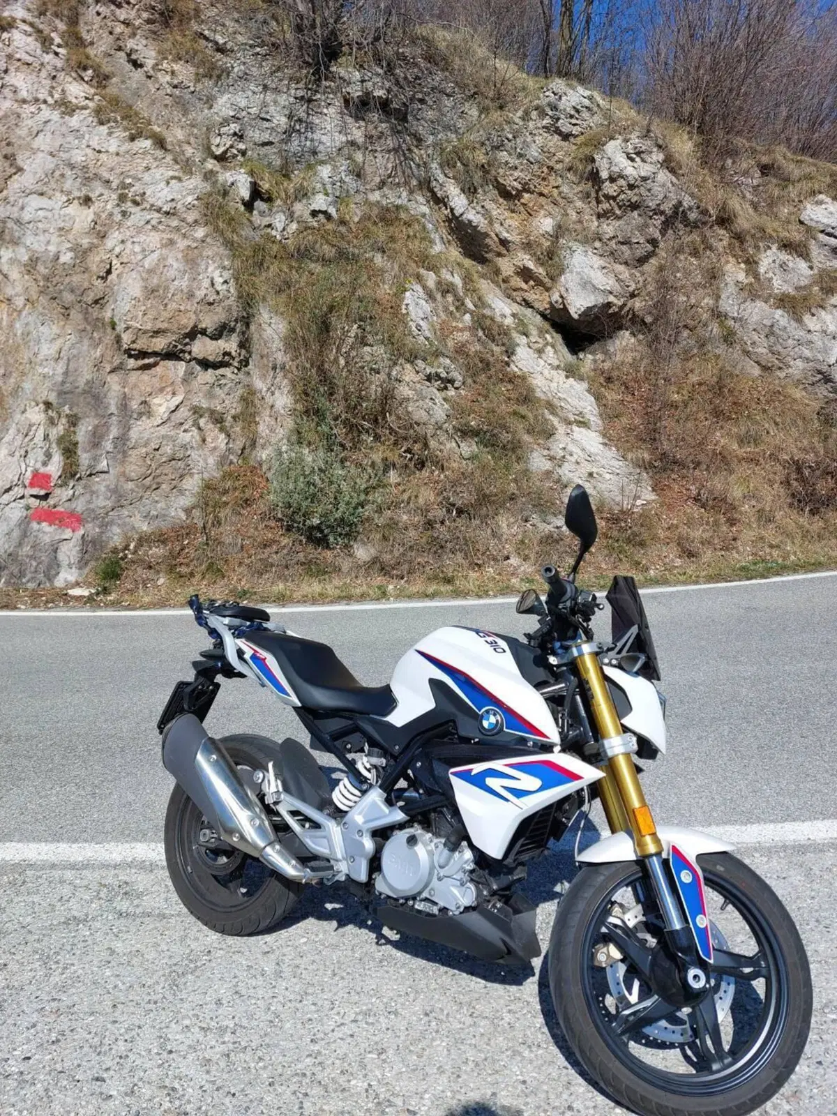 Bmw G 310 R (2016 - 20) (3)