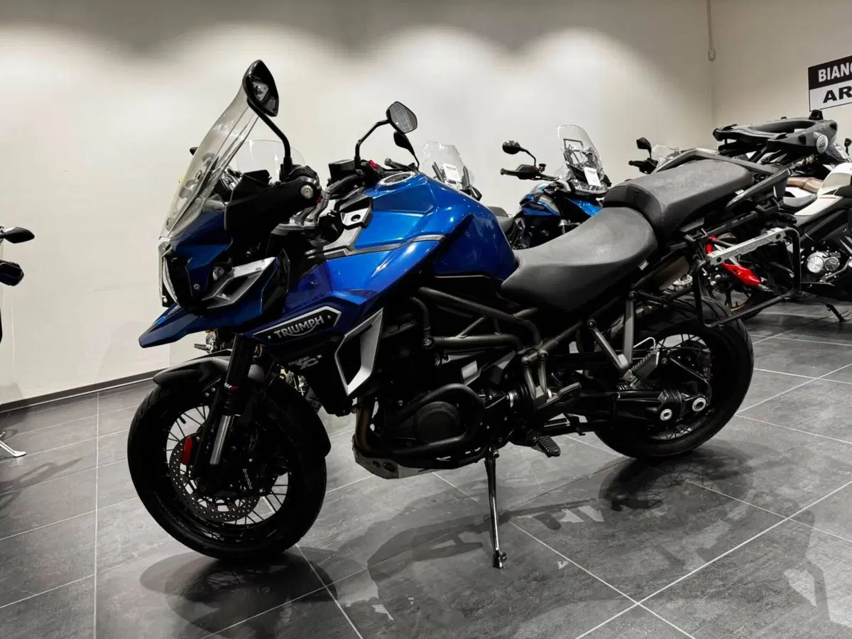 Triumph Tiger 1200 XCx (2018 - 20) (2)