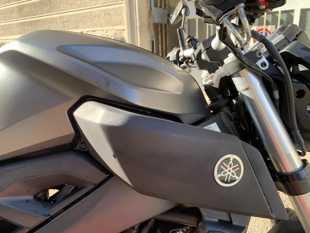 Yamaha MT-125 (2014 - 16) (8)
