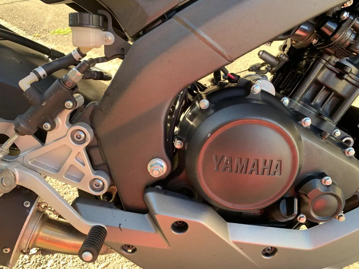 Yamaha MT-125 (2014 - 16) (9)