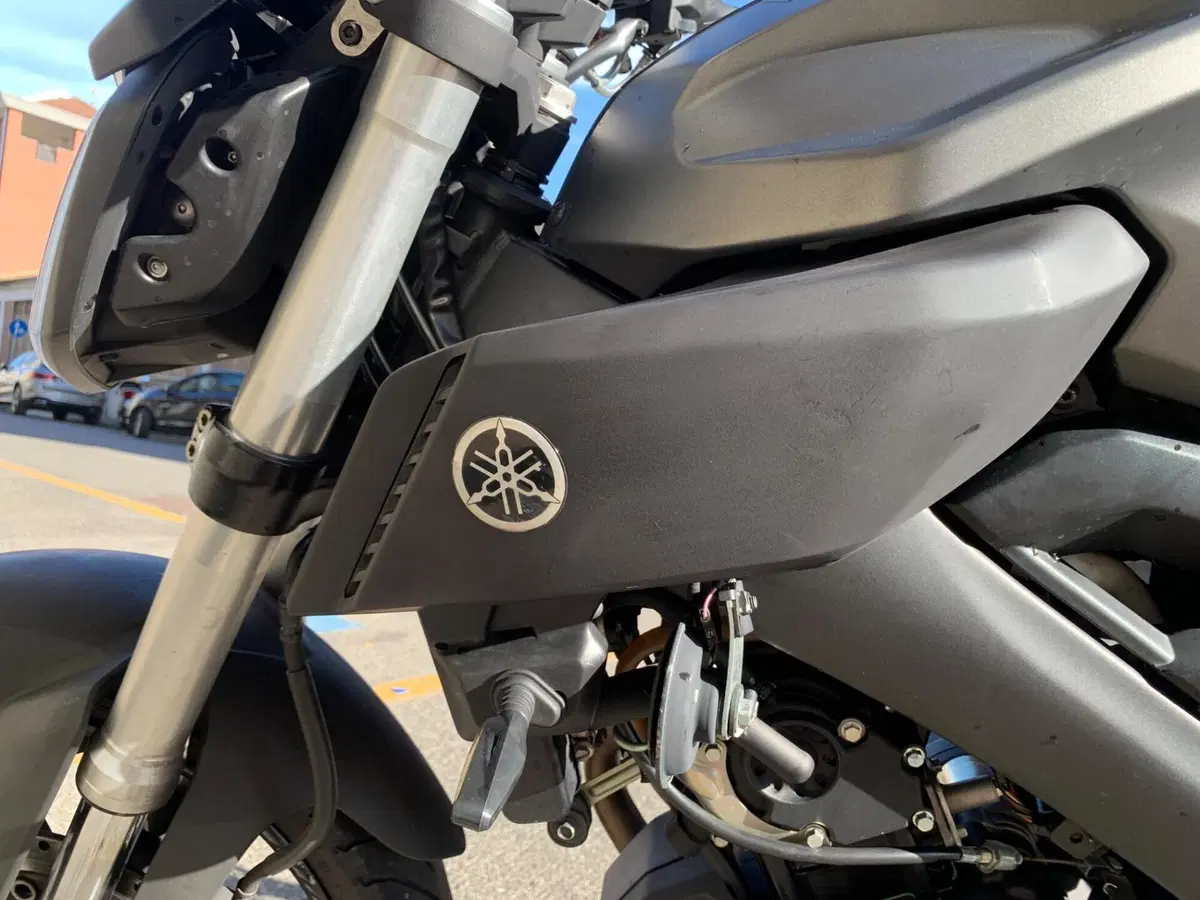 Yamaha MT-125 (2014 - 16) (11)