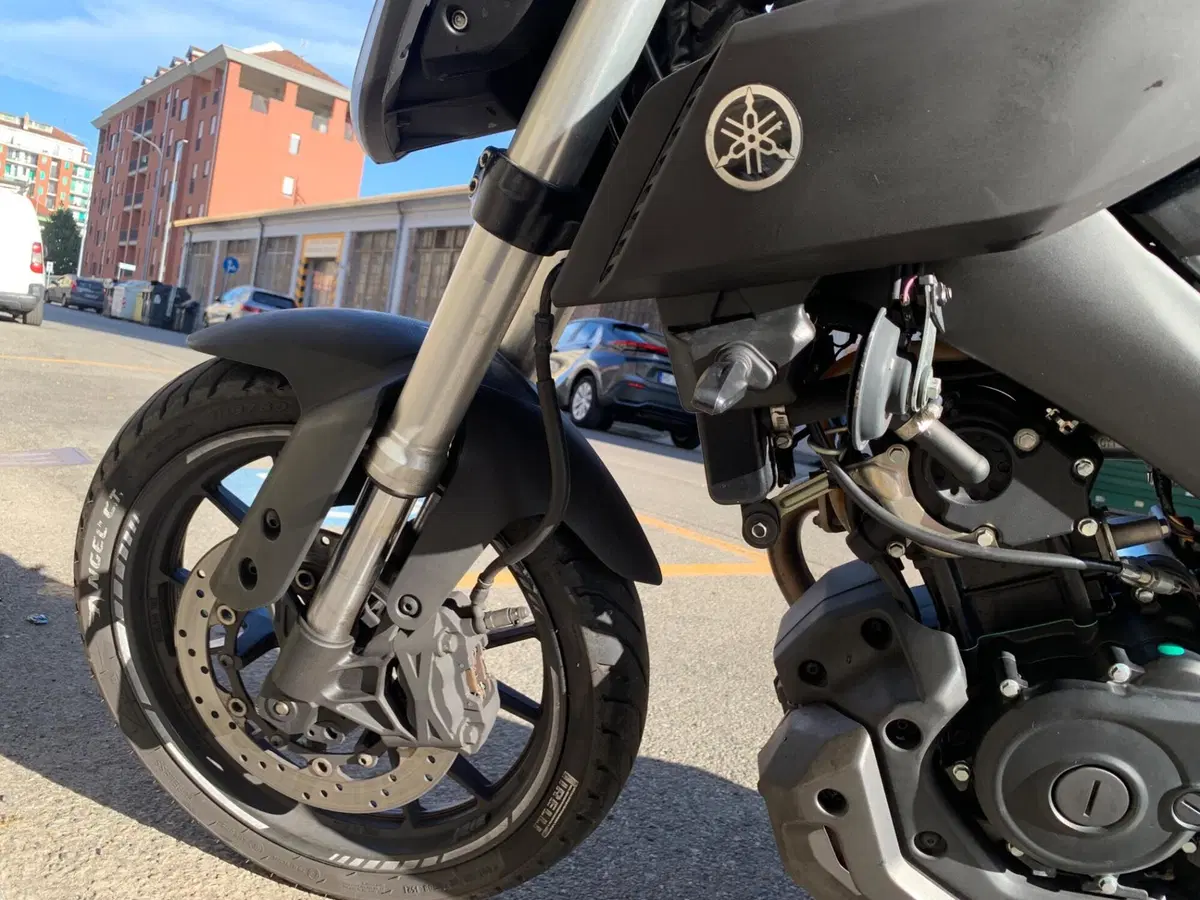 Yamaha MT-125 (2014 - 16) (18)