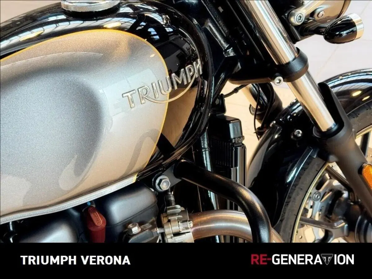 Triumph Street Cup 900 (2017 - 19) (2)