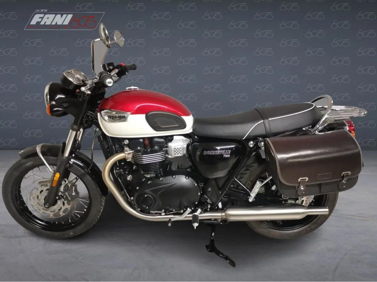 Triumph Bonneville T100 (2021 - 25) (2)