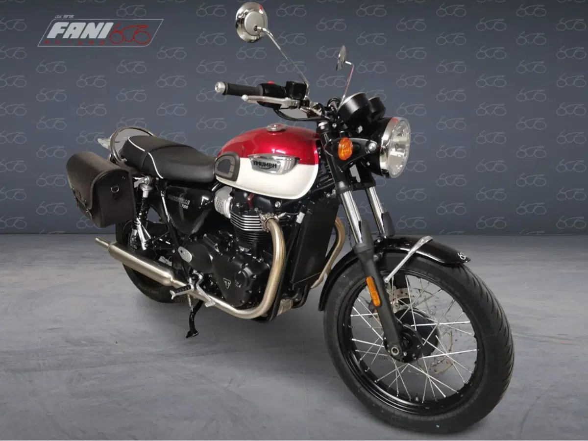 Triumph Bonneville T100 (2021 - 25) (5)