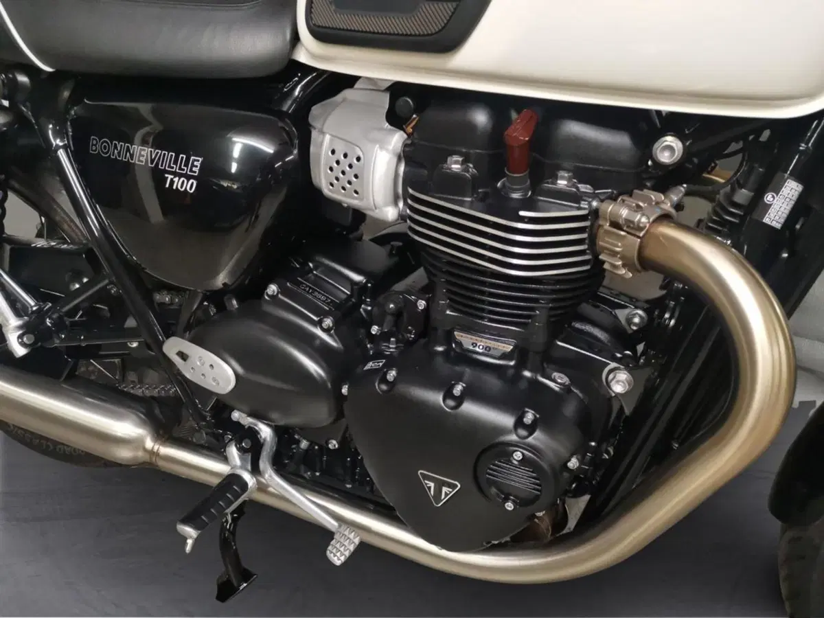 Triumph Bonneville T100 (2021 - 25) (6)
