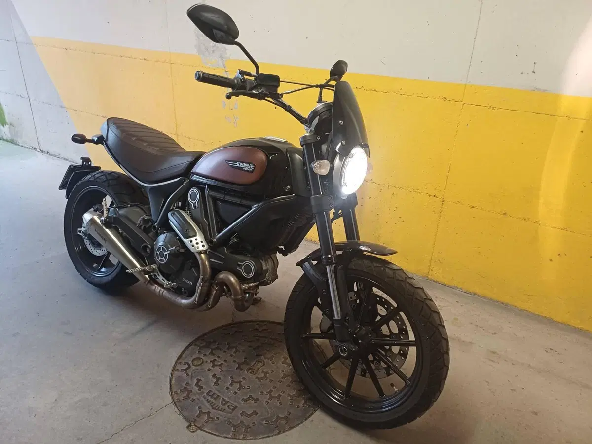 Ducati Scrambler 800 Icon (2015 - 16) (5)