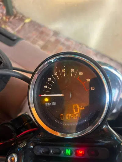 Harley-Davidson 1200 Roadster (2017 - 20) - XL 1200R usata