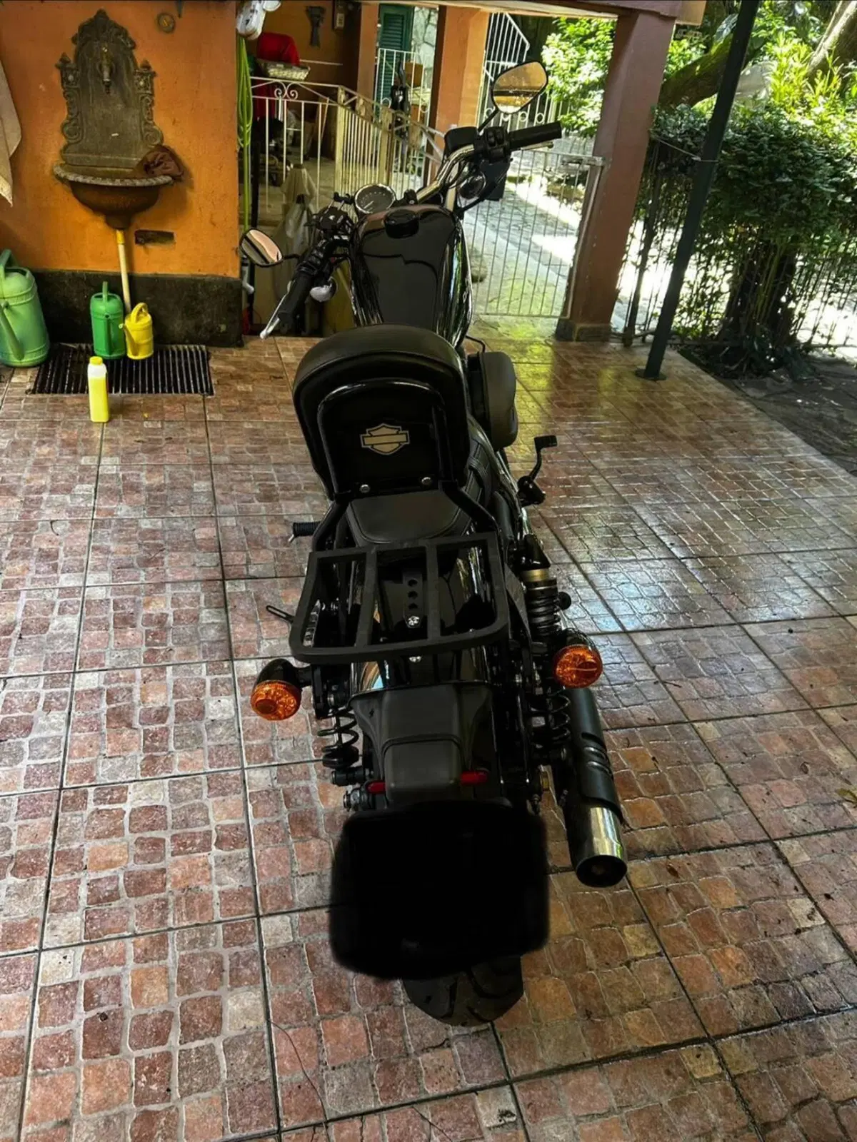Harley-Davidson 1200 Roadster (2017 - 20) - XL 1200R (3)