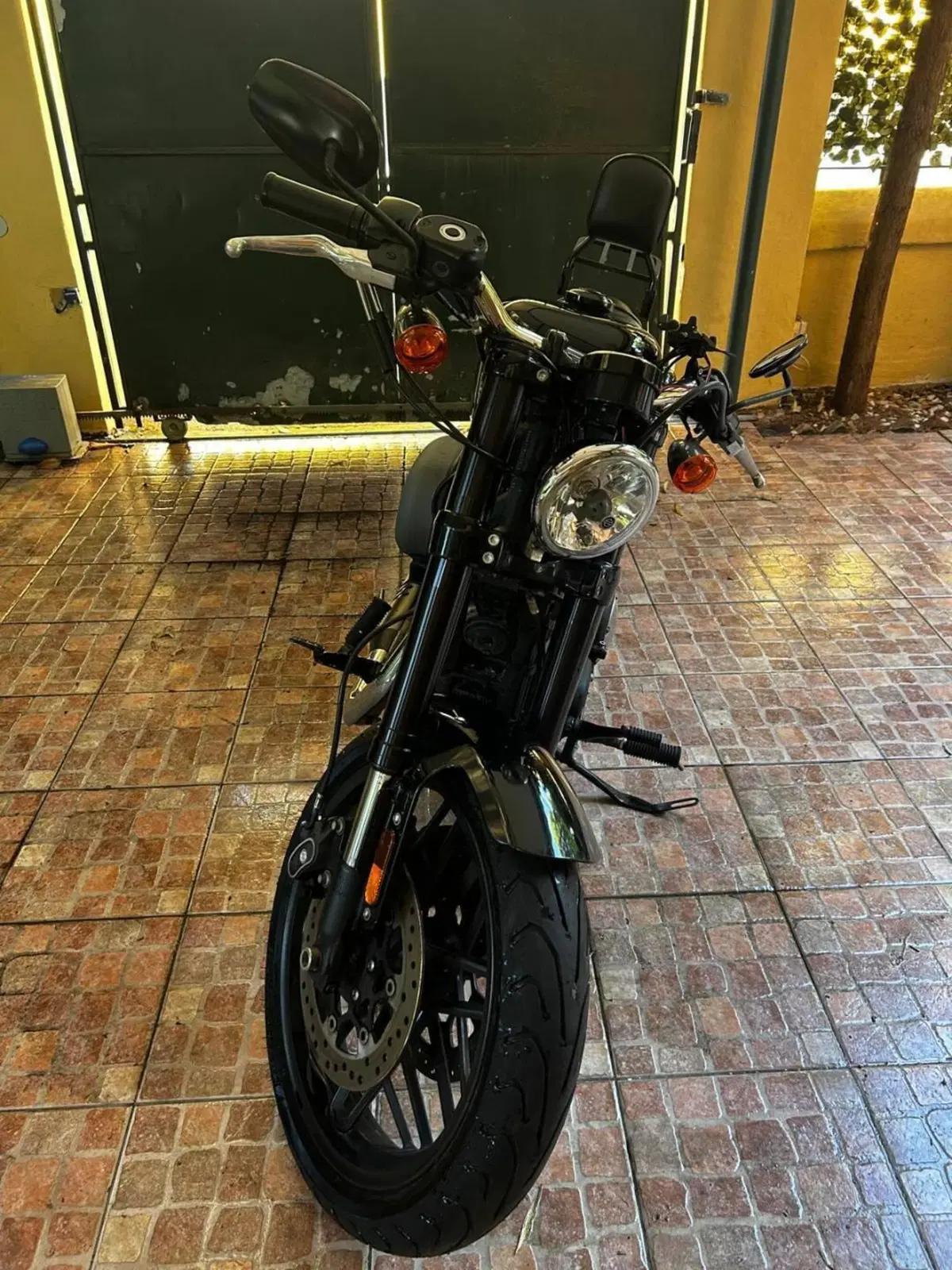 Harley-Davidson 1200 Roadster (2017 - 20) - XL 1200R (4)
