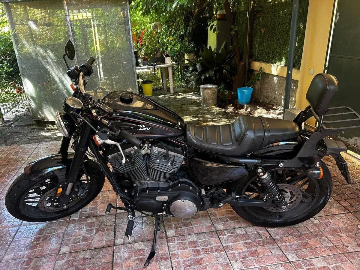 Harley-Davidson 1200 Roadster (2017 - 20) - XL 1200R (7)