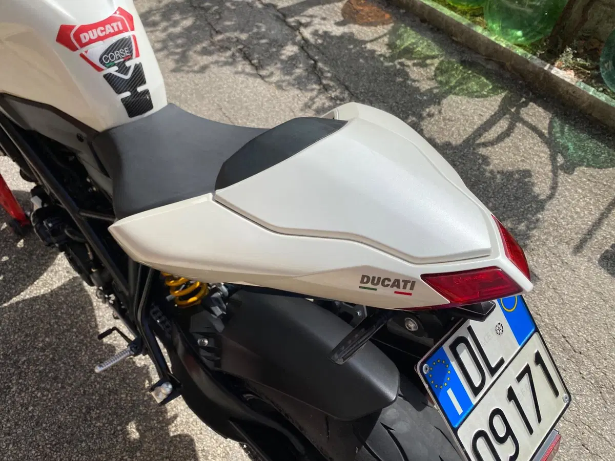 Ducati Streetfighter (2009 - 12) (14)