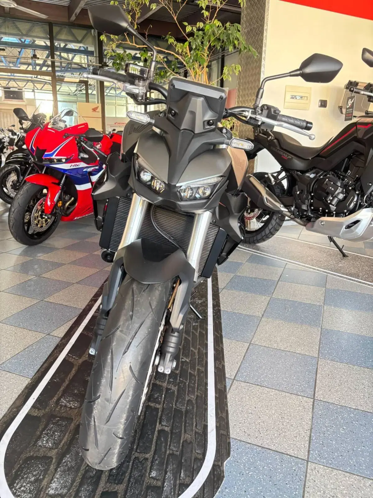 Honda CB 1000 Hornet (2025 - 26) (2)