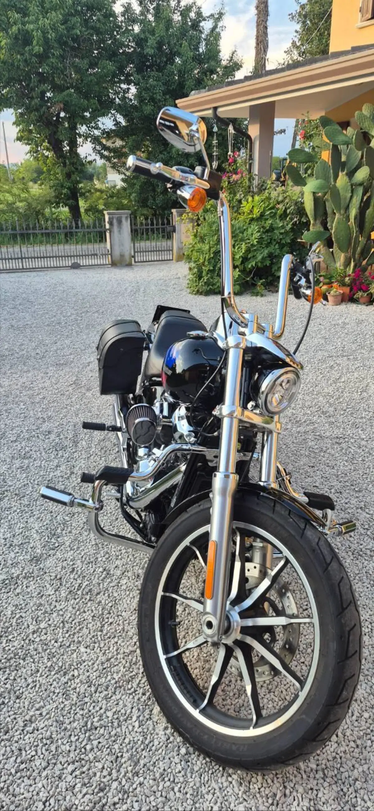 Harley-Davidson 107 Low Rider (2018 - 20) - FXLR (12)