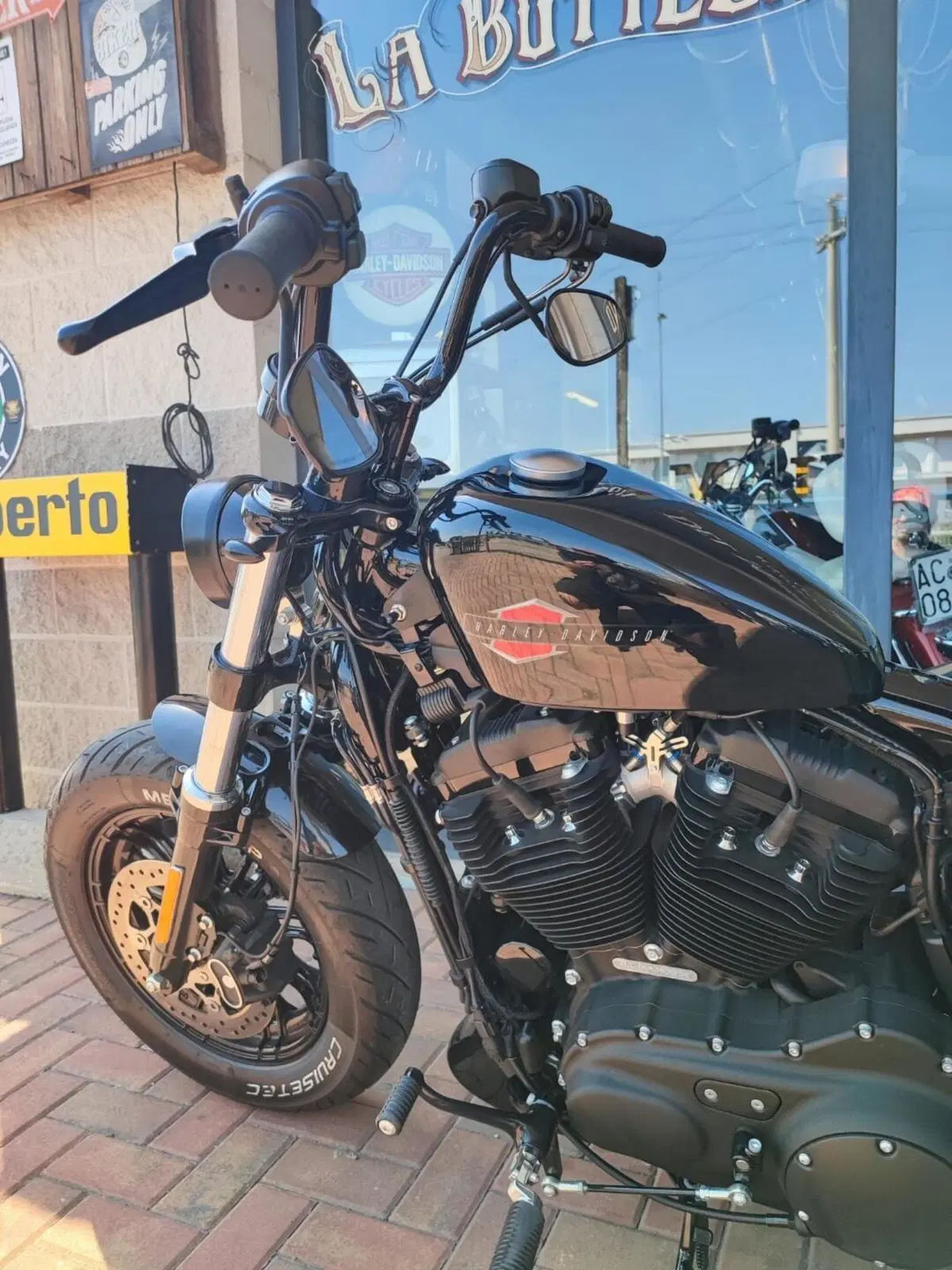 Harley-Davidson 1200 Forty-Eight (2016 - 20) (3)