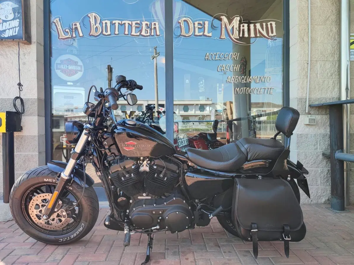 Harley-Davidson 1200 Forty-Eight (2016 - 20) (6)