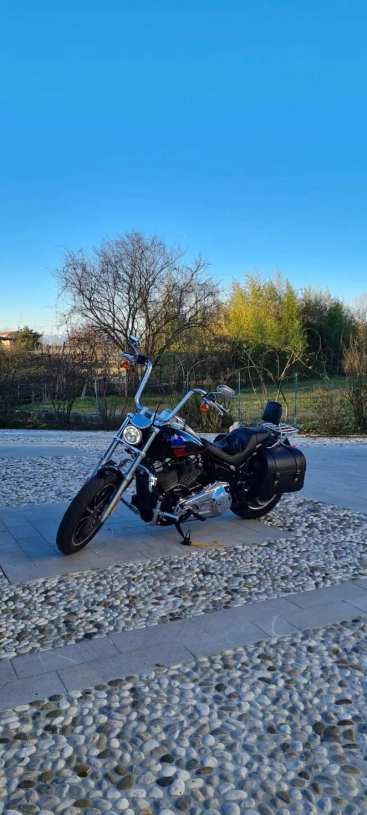 Harley-Davidson 107 Low Rider (2018 - 20) - FXLR (18)