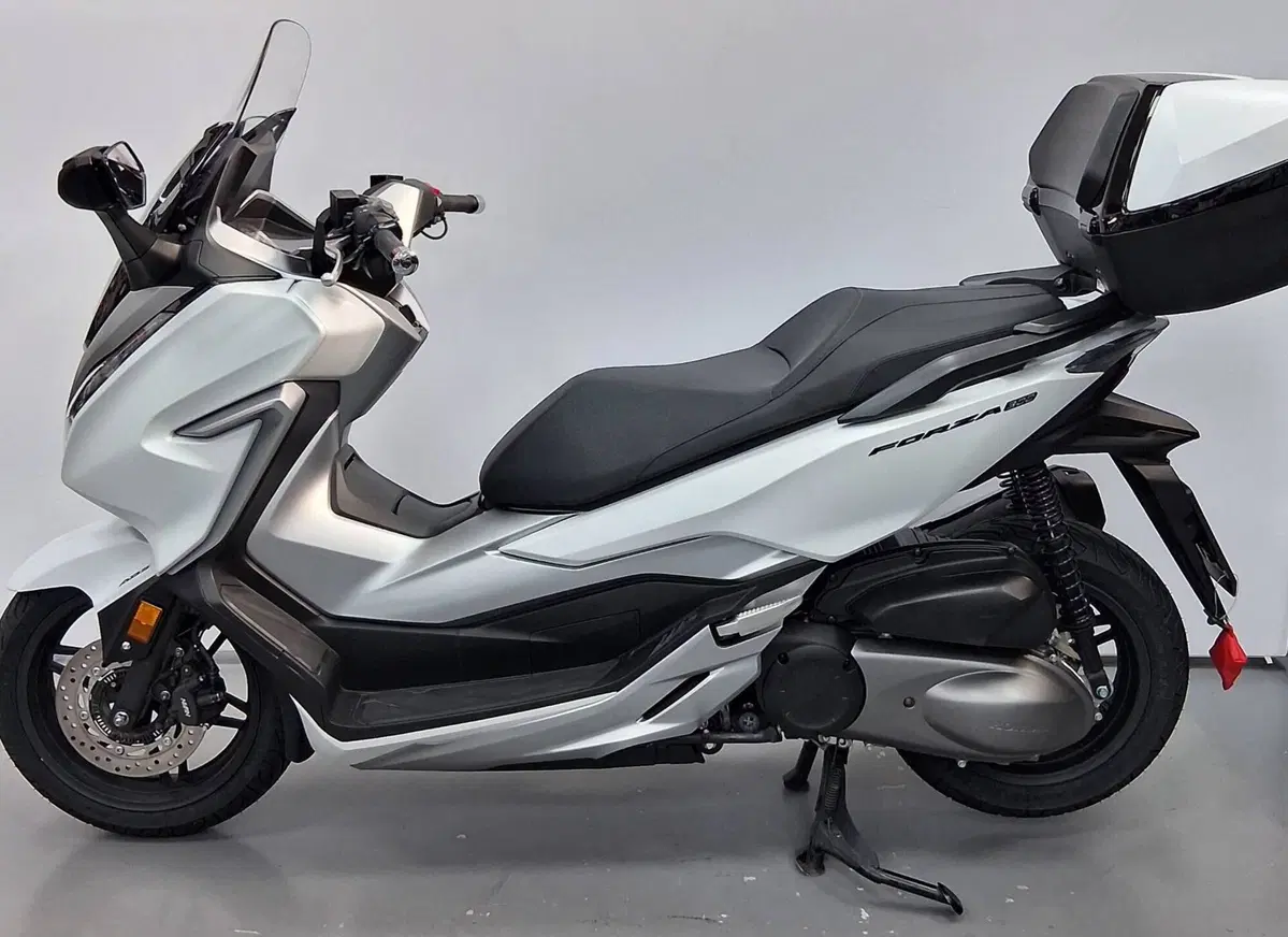 Honda Forza 300 (2019 - 20) (3)