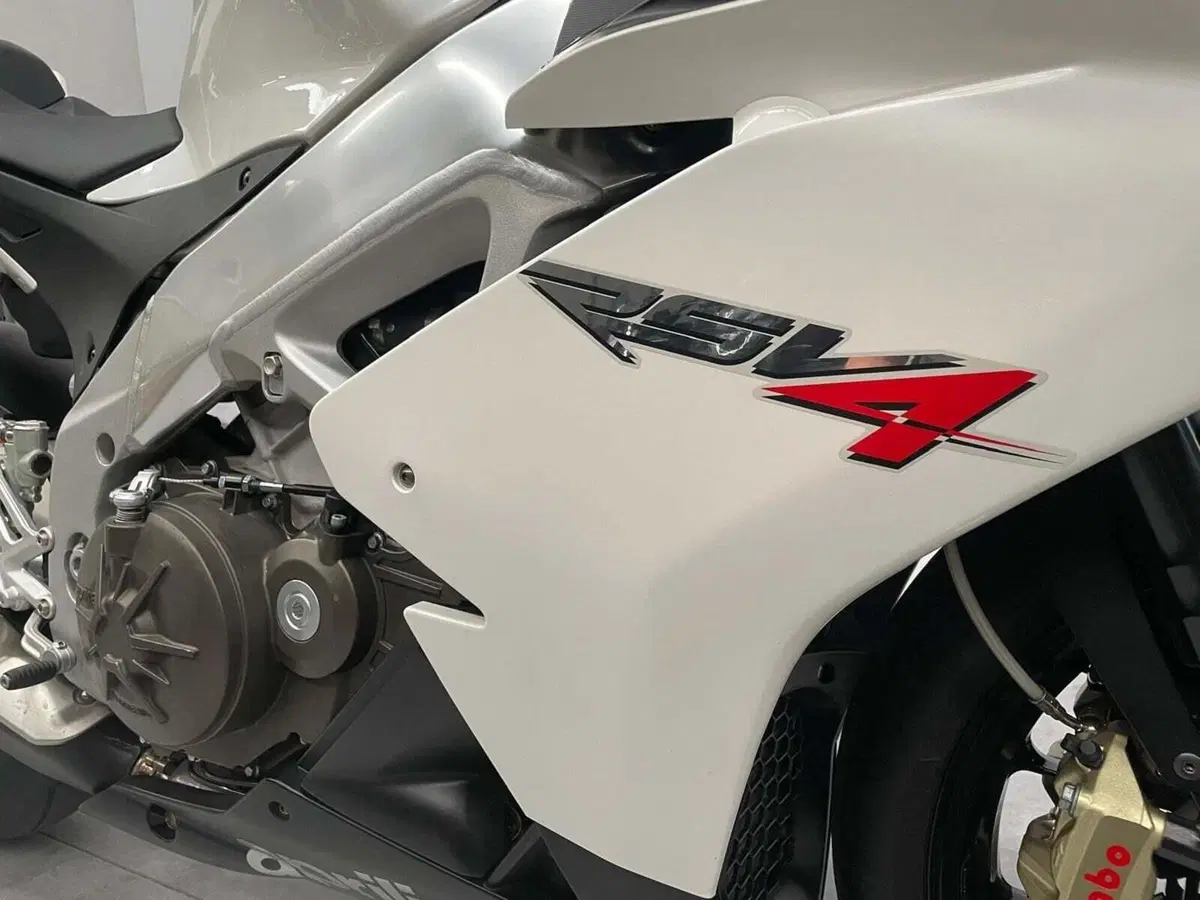 Aprilia RSV4 R (2009 - 12) (7)