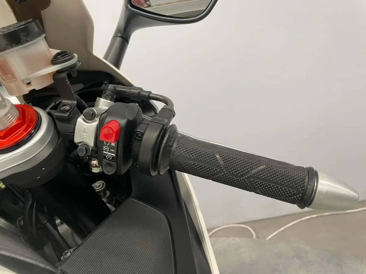 Aprilia RSV4 R (2009 - 12) (13)