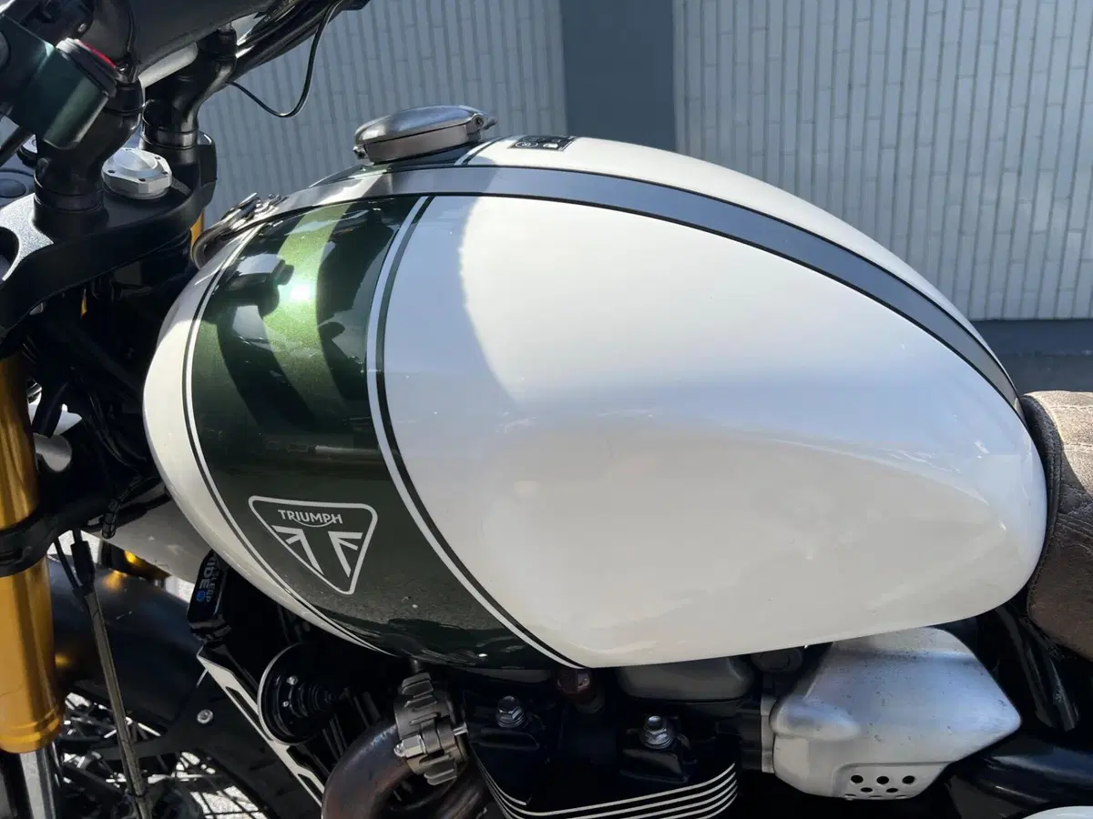 Triumph Scrambler 1200 XE (2019 - 20) (5)
