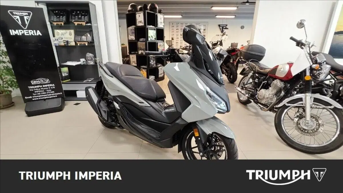 Honda Forza 350 (2025 - 26) (3)