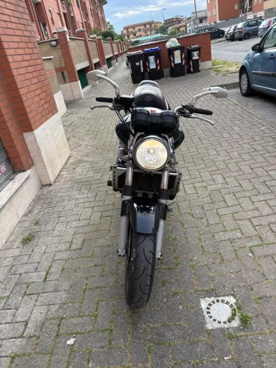 Honda Hornet 900 usata