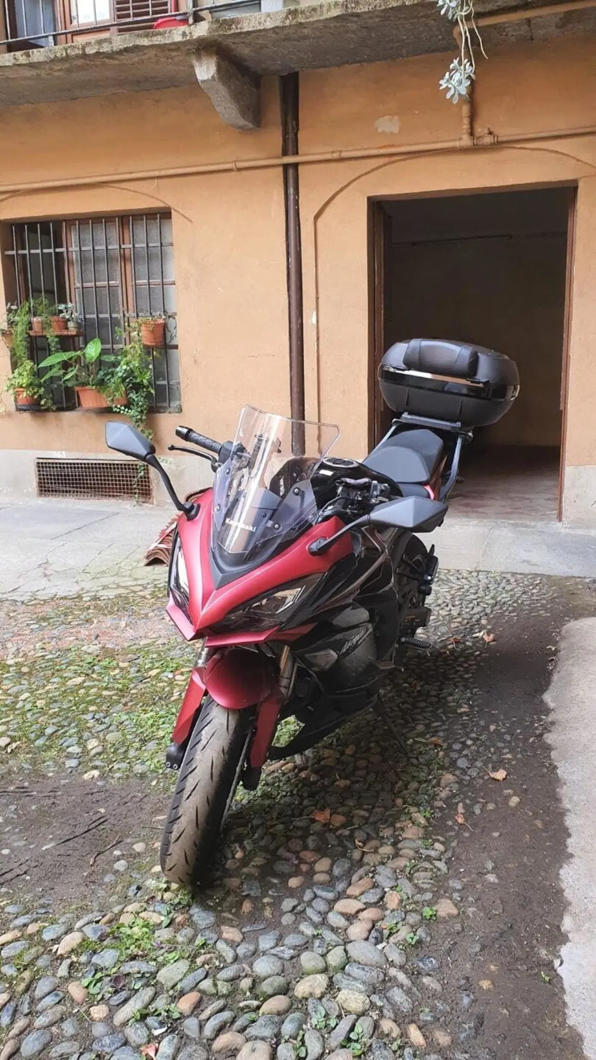 Kawasaki Ninja 1000 SX (2021 - 24) (4)