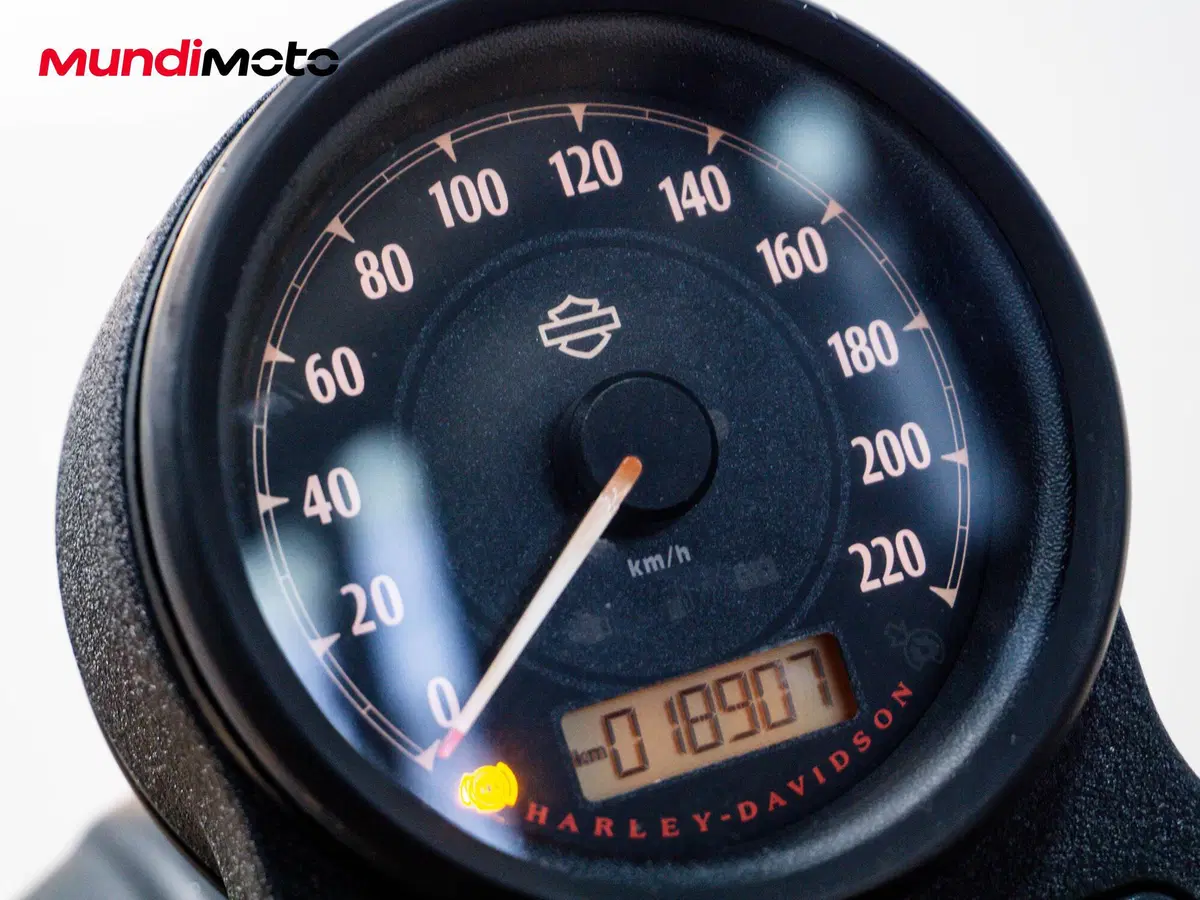Harley-Davidson 883 Iron (2012 - 14) - XL 883N (12)