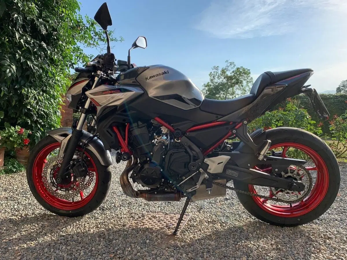 Kawasaki Z 650 (2021 - 24) (2)