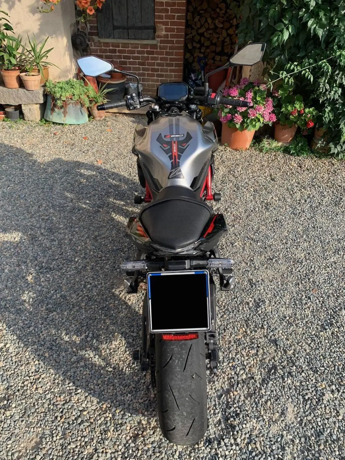 Kawasaki Z 650 (2021 - 24) (3)