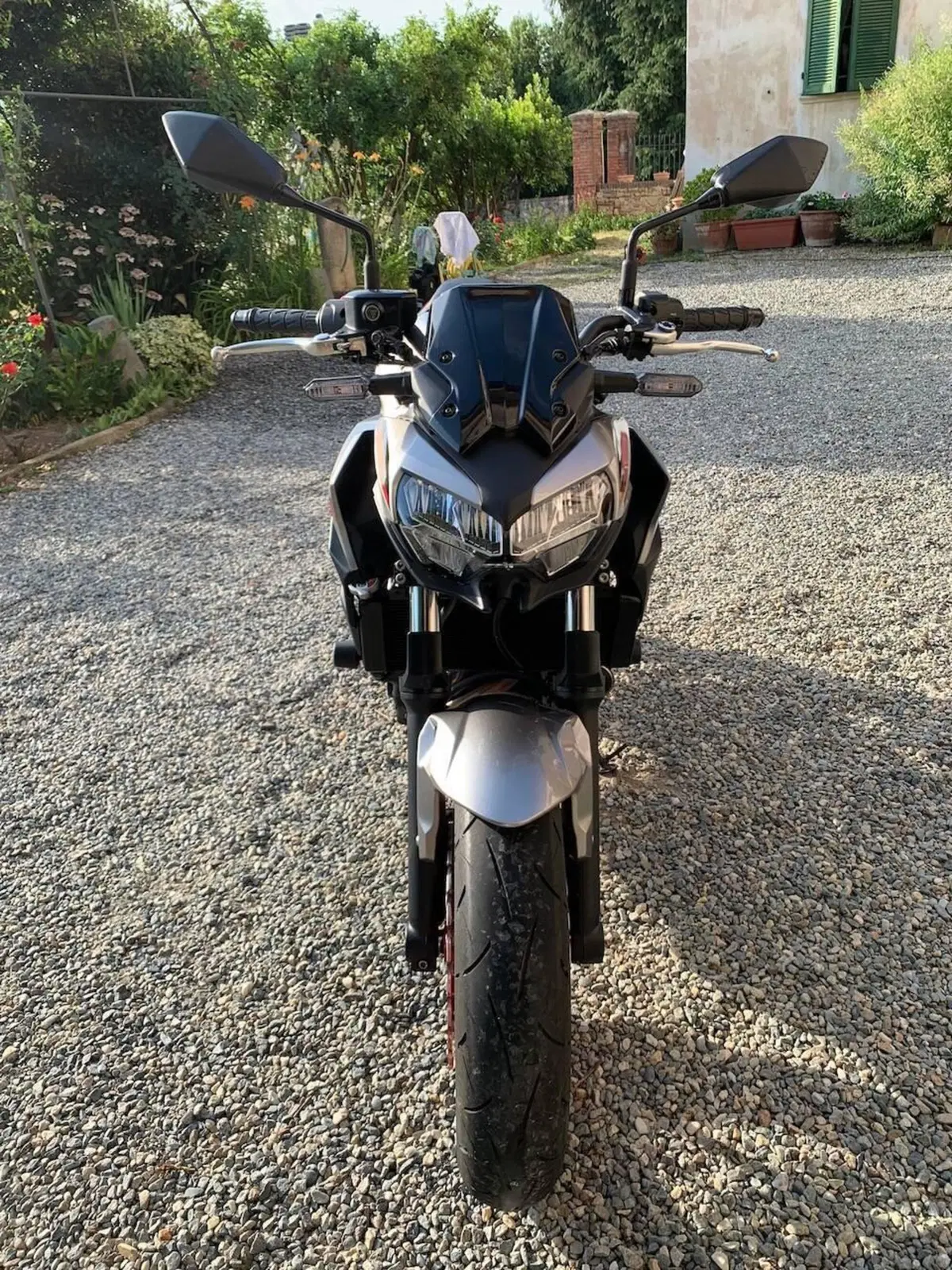 Kawasaki Z 650 (2021 - 24) (6)