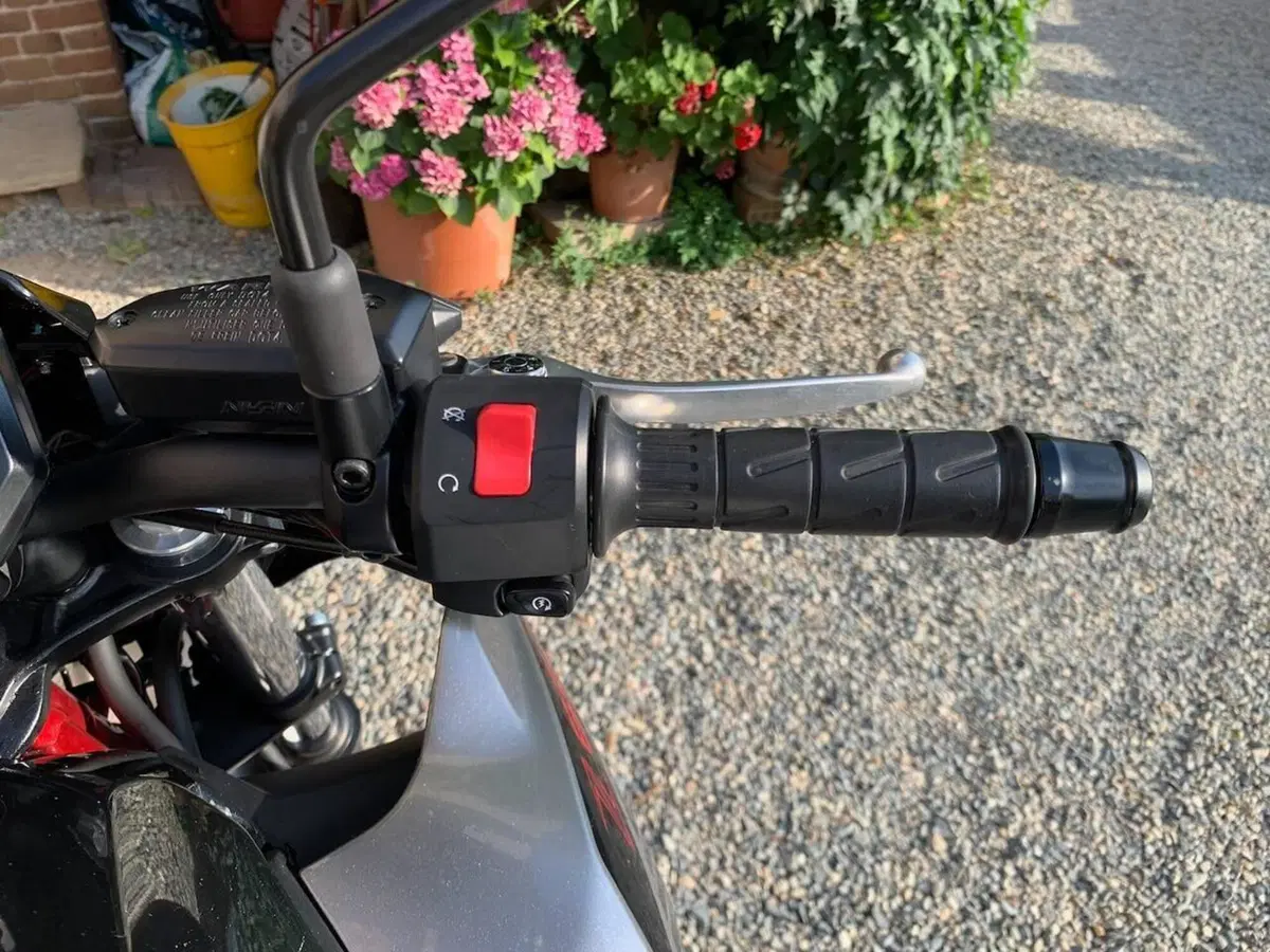 Kawasaki Z 650 (2021 - 24) (8)