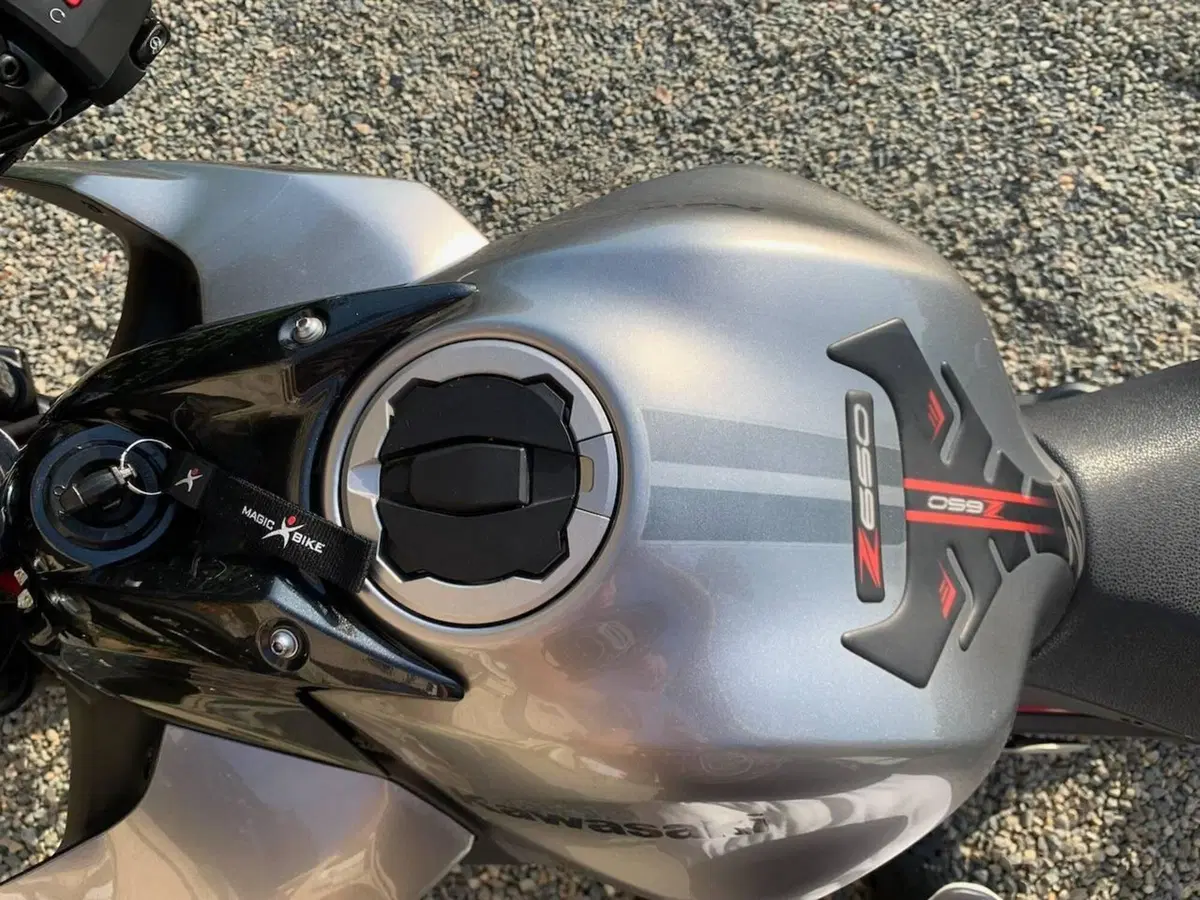 Kawasaki Z 650 (2021 - 24) (9)