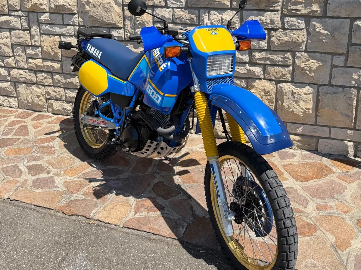 Yamaha XT 600 (1984 - 98) (6)