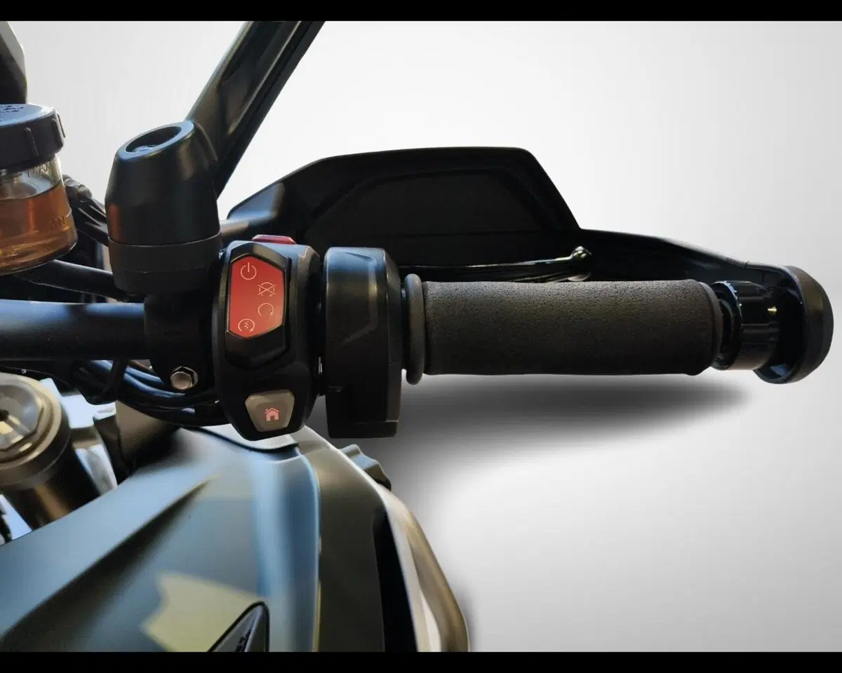 Triumph Tiger 1200 Rally Explorer (2024 - 26) (11)