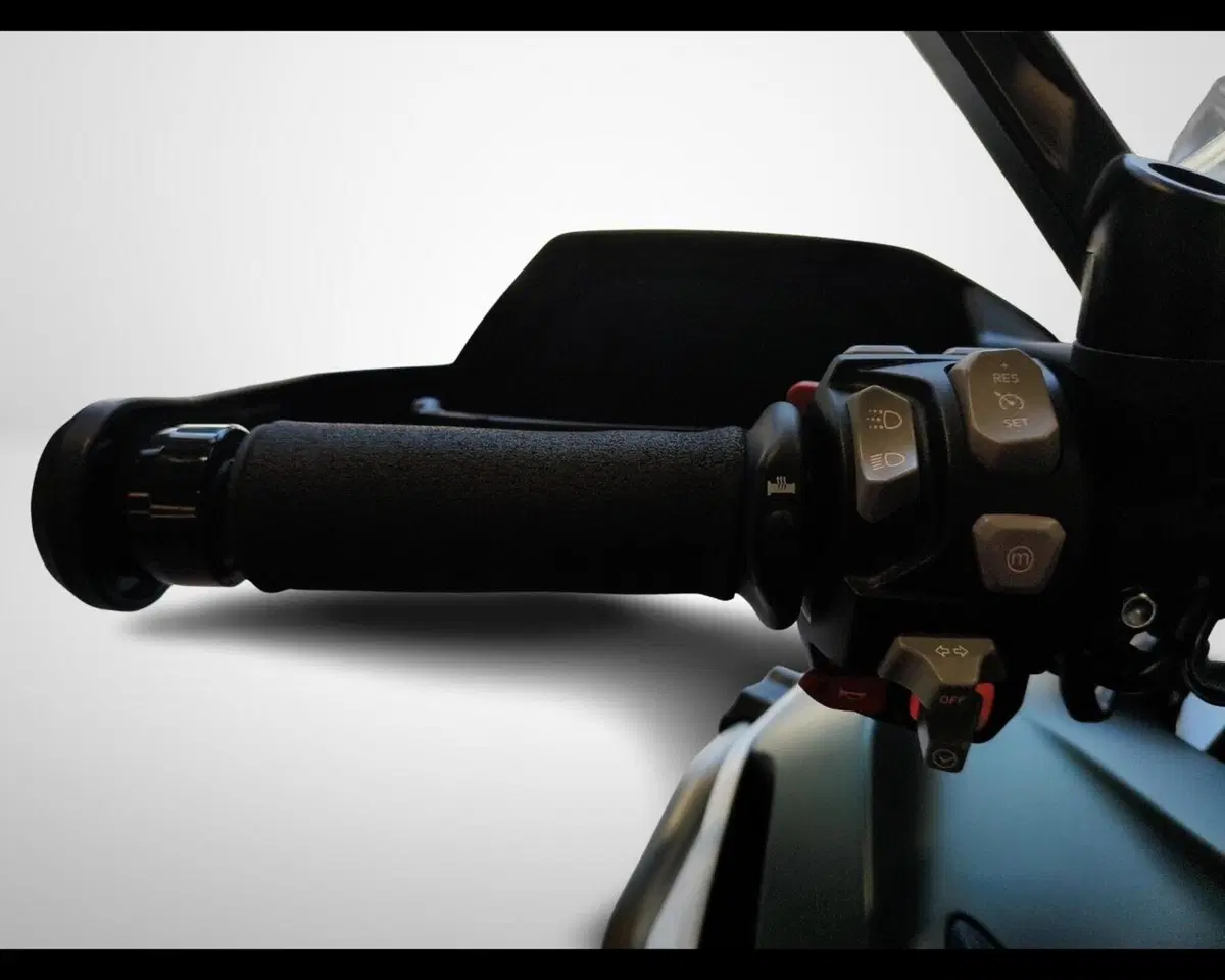 Triumph Tiger 1200 Rally Explorer (2024 - 26) (10)