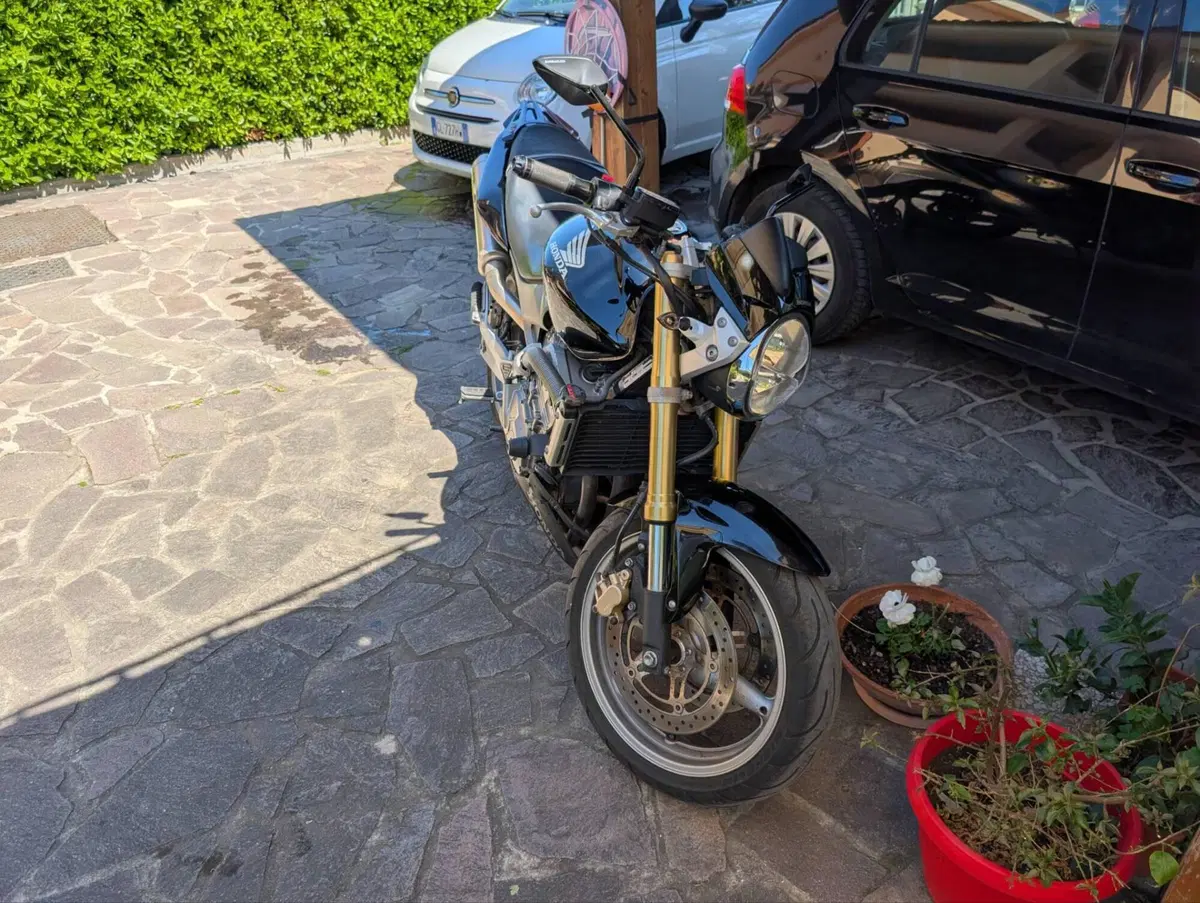 Honda Hornet 600 (2005 - 06) (2)