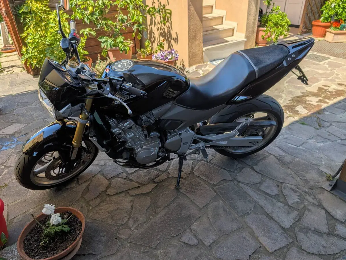 Honda Hornet 600 (2005 - 06) (3)