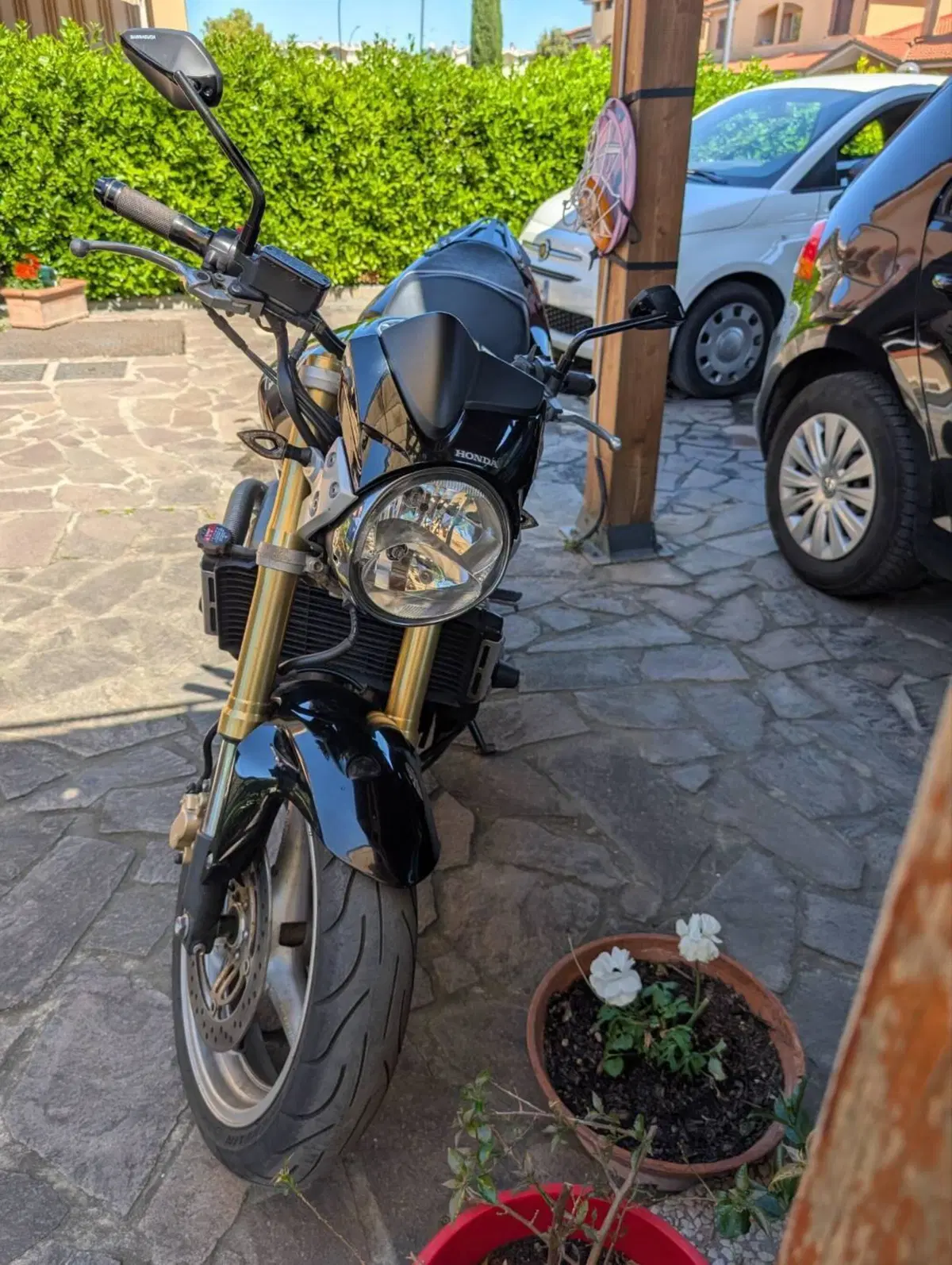 Honda Hornet 600 (2005 - 06) (4)