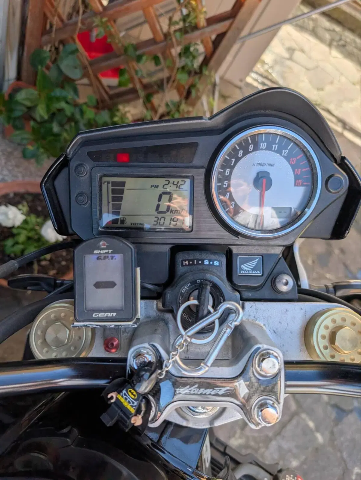 Honda Hornet 600 (2005 - 06) (6)
