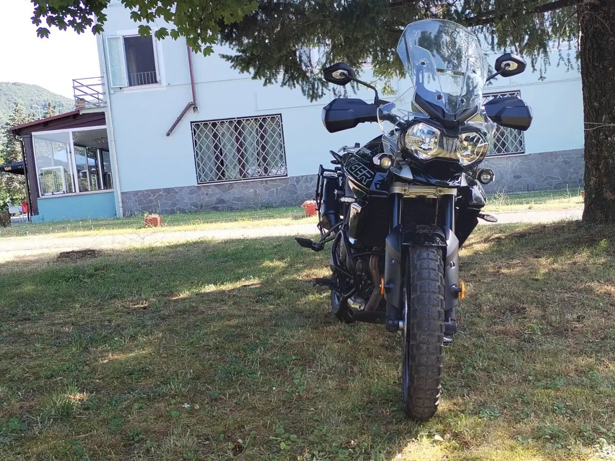 Triumph Tiger 800 XRx (2018 - 20) (2)