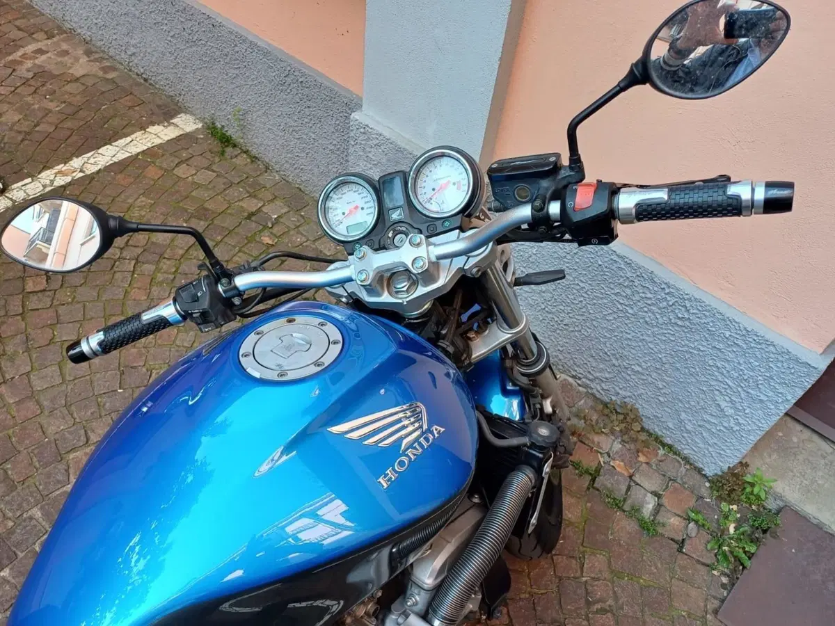 Honda Hornet 600 (2003 - 04) (4)