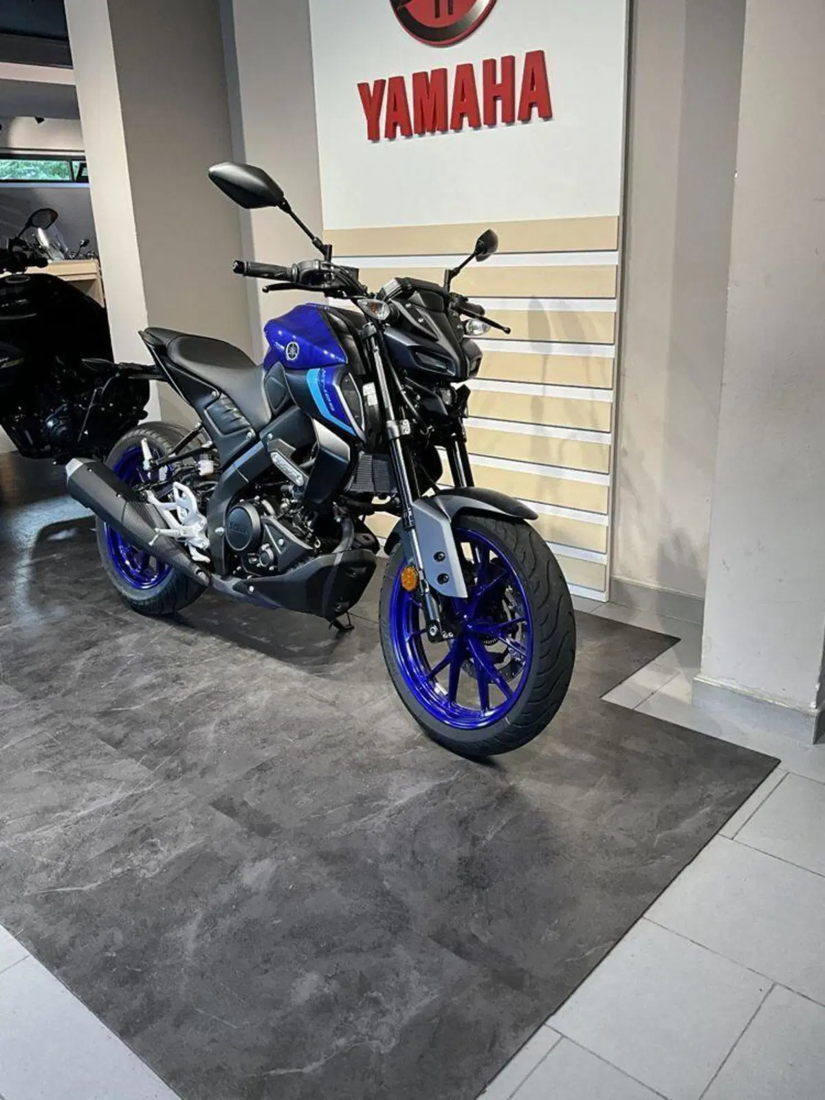 Yamaha MT-125 (2021 - 24) (5)